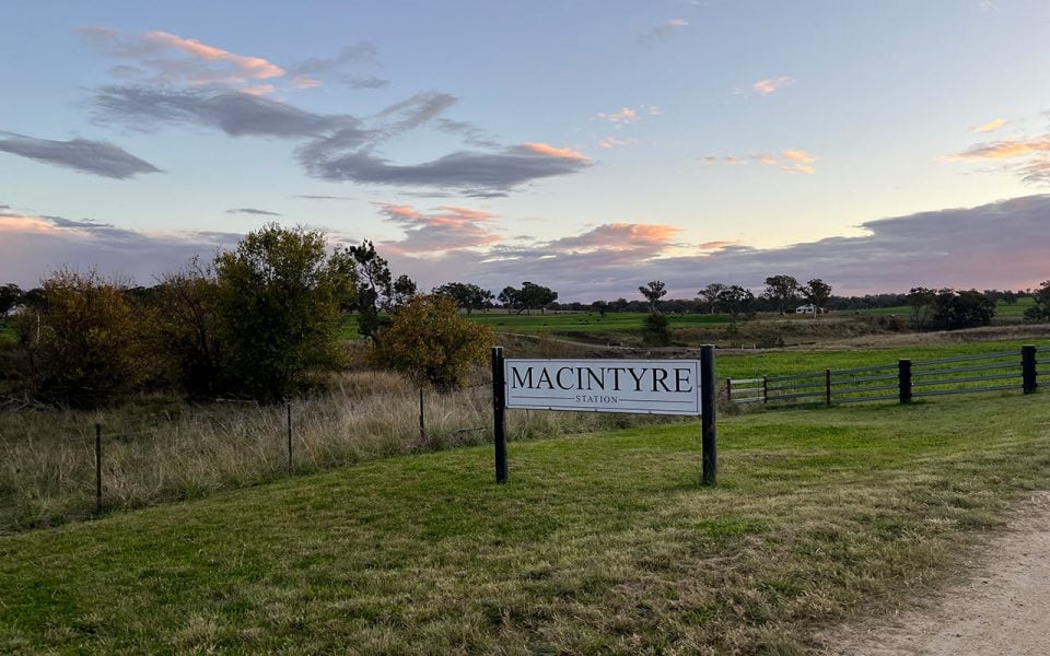Macintyre Station Palgrove